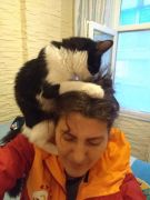 Zeliş\\\\\\\\\\\\\\\\\\\\\\\\\\\\\\\'in patileri /  6