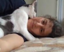 Zeliş\\\\\\\\\\\\\\\\\\\\\\\\\\\\\\\'in patileri /  7