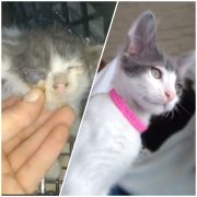 Zeliş\\\\\\\\\\\\\\\\\\\\\\\\\\\\\\\'in patileri /  5