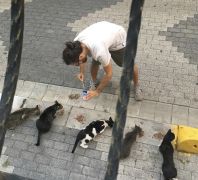 Kedüklerin Babası /  2