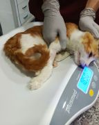 Bir Pati de sen tutar misin / 6