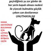 Park canları /  
