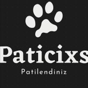 Paticixs /  