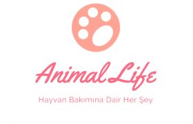 Animal Life /  