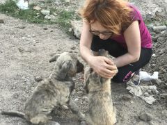 Menemen Seyrek Tarla Arası Çocukları /  