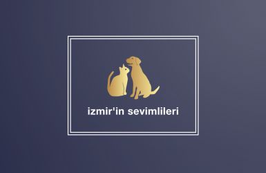 İzmir'in Sevimlileri