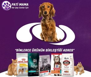 İzmir gönüllü hayvan besleme