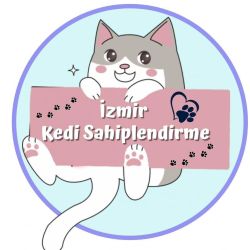 İzmir Kedi Sahiplendirme 