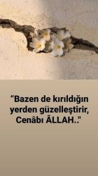 tarçın'ın patileri