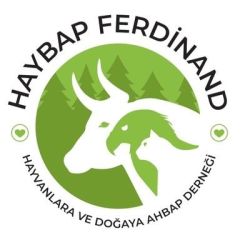 ANGELSFARM-HAYBAP FERDİNAND HAYVANLARA VE DOĞAYA AHBAP DERNEĞİ