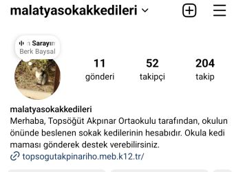 malatyasokakkedileri 