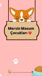 Mersin Sokak Hayvanları Mama Kumbarası