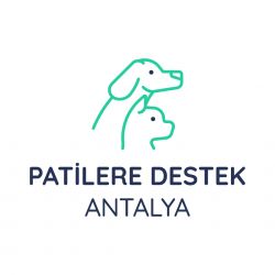 Patilere Destek Antalya