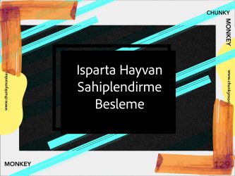 Isparta Hayvan Sahiplendirme&Besleme