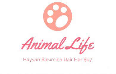 Animal Life