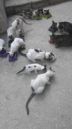 mama-etkinligi-60c49bdd733a2-5.jpg