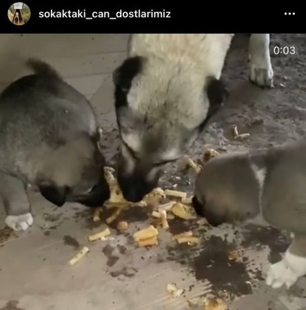 mama-etkinligi-5.jpeg