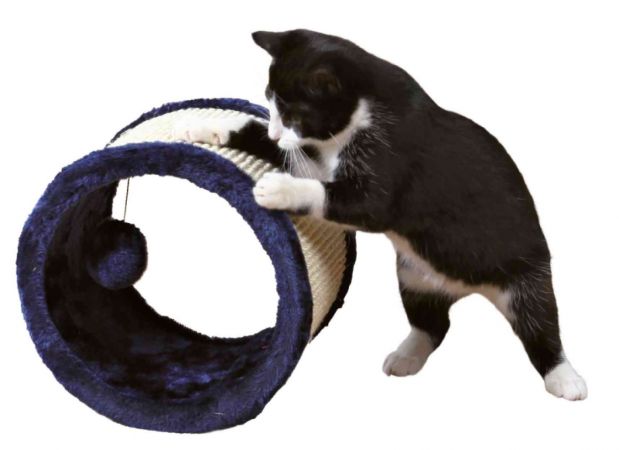 Trixie Kedi Tırmalama Tahtası ve Oyuncağı Mavi 23x20 Cm
