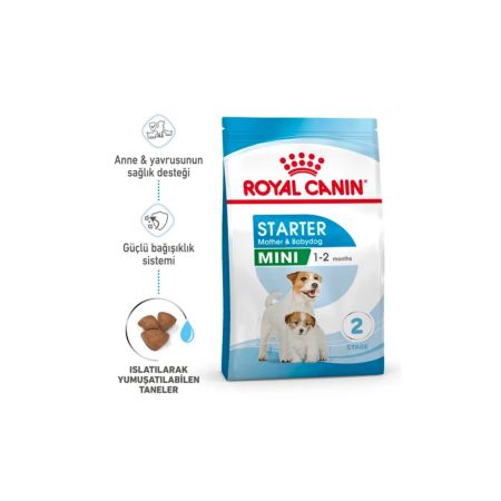 Royal Canin Mini Starter Küçük Irk Anne ve Yavru Köpek Maması 4 kg