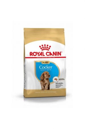 Royal Canin Cocker Puppy Irk Yavru Köpek Maması 3 Kg