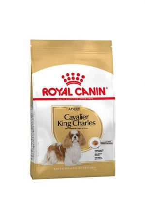 Royal Canin Cavalier King Charles Irk Köpek Maması 1,5 Kg