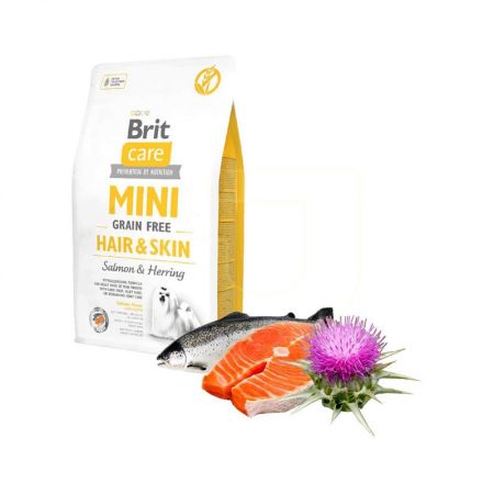 Brit Care Mini Hair Skin Somonlu Köpek Maması 2 kg