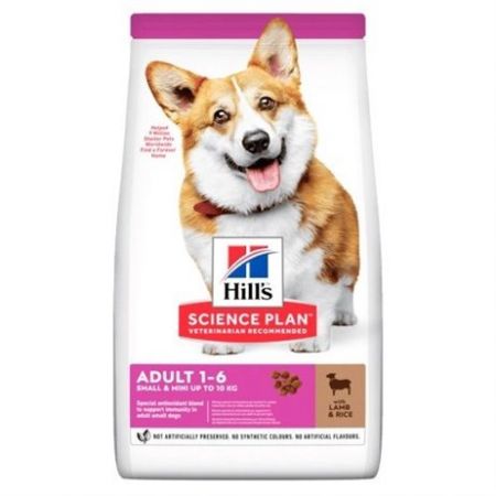 Hills Small Mini Küçük Irk Kuzulu Yetişkin Köpek Maması 6 Kg