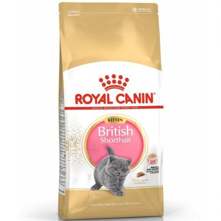 Royal Canin Kitten British Shorthair 2 Kg Yavru Kedi Maması