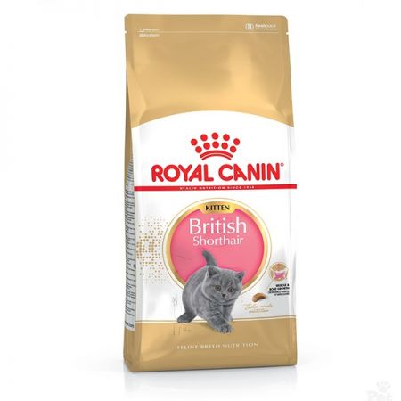 Royal Canin Kitten British Shorthair Yavru Kedi Maması 2Kg