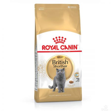 Royal Canin British Shorthair Kedi Maması 10 Kg