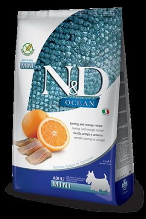N&D Ocean Balkabaklı Morina Balıklı ve Portakallı Tahılsız Küçük Irk Yetişkin Köpek Maması 2,5 Kg