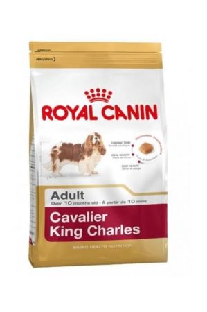 Royal Canin Cavalier King Charles Köpek Maması 3 Kg