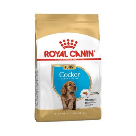 Royal Canin Cocker Puppy Yavru Köpek Maması 3 kg