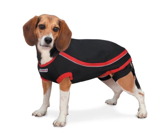 Kong Köpek Anksiyete Giderici Elbise M