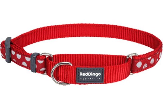 Red Dingo Kırmızı Üzerine Beyaz Benekli Boyun Eğitim Tasması 20mm