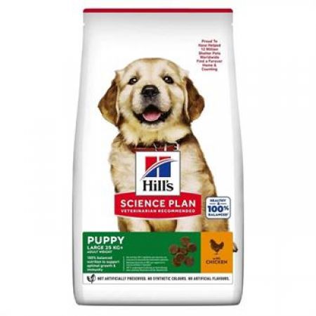 Hills Puppy Large Tavuklu Büyük Irk Yavru Köpek Maması 2,5 Kg