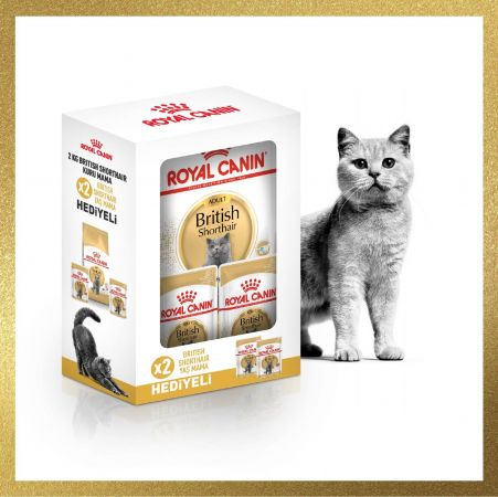 Royal Canin British Shorthair Adult Yetişkin Kedi Maması 2 Kg + 2 Konserve Hediyeli