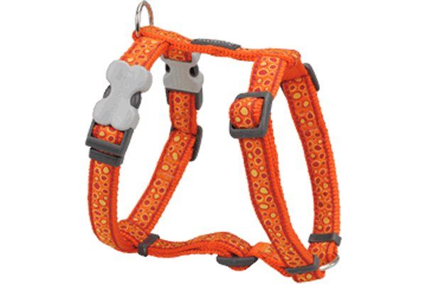 Red Dingo Harness Bedrock Desenli Köpek Göğüs Tasması Turuncu 25 Mm