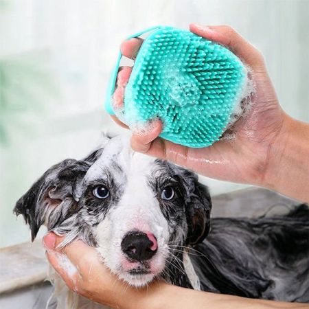 Petzz Hazneli Silikon Kedi ve Köpek Banyo Şampuan Fırçası Yeşil 8.4x6x8.4 Cm