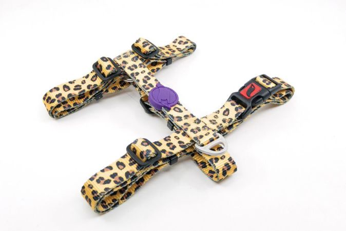 Tailpetz Leopard Desenli Köpek Göğüs Tasması Medium 31-50x42-69 Cm