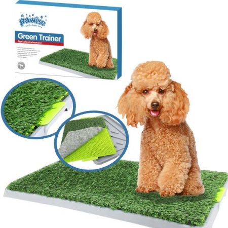 Pawise Çiş Eğitimi Yapay Çimli Köpek Tuvalet Kabı 43x67 Cm