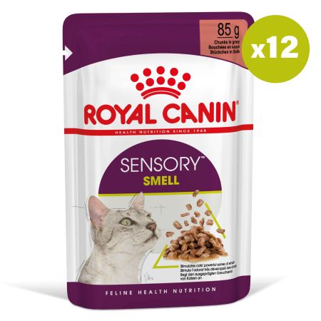 Royal Canin Sensory Smell Gravy Yetişkin Kedi Konservesi 85 Gr x 12 Adet