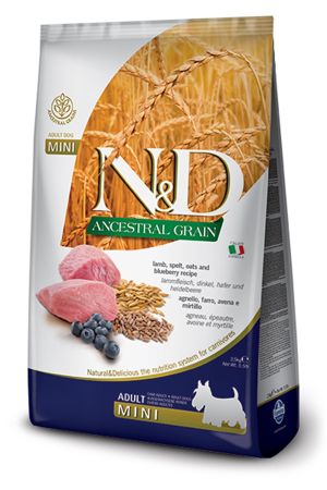 N&D Düşük Tahıllı Kuzu-Yaban Mersini Küçük Irk Köpek Yetişkin Maması 2.5 Kg