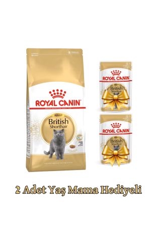 Royal Canin British Shorthair Yetişkin Kedi Maması 2 kg + 2 Adet Pouch Kedi Konservesi