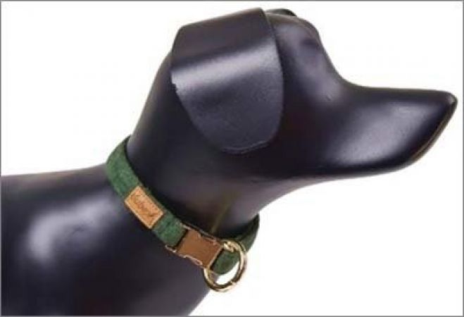 Dubex G-Dog Köpek Boyun Tasması Koyu Yeşil M-L 35-56 Cm 20 Mm