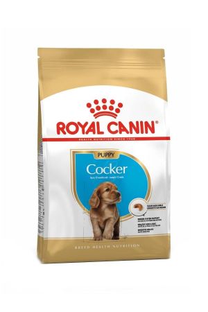 Royal Canin Cocker Puppy Yavru Köpek Maması 3 Kg