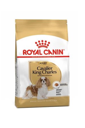 Royal Canin Cavalier Yetişkin Köpek Maması 1.5 Kg