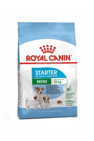 Royal Canin Mini Starter Yavru Köpek Maması 4 Kg