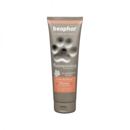 Beaphar Premium Parlaklık Verici Köpek Şampuanı 250 ml