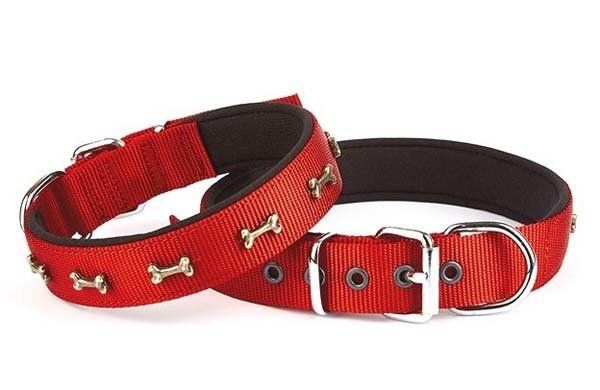 Doggie Comfort Dokuma Kemikli Köpek Boyun Tasması Medium Kırmızı 2.5x37-45 Cm